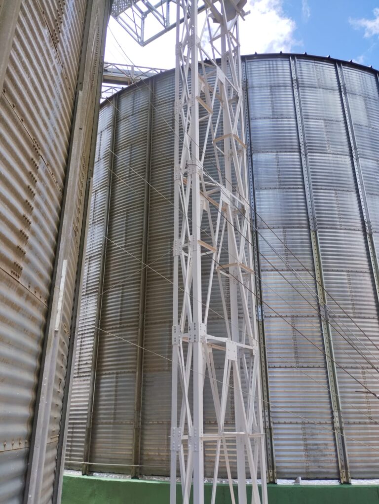 WhatsApp Image 2025-10-28 at 19.04.08 (1)