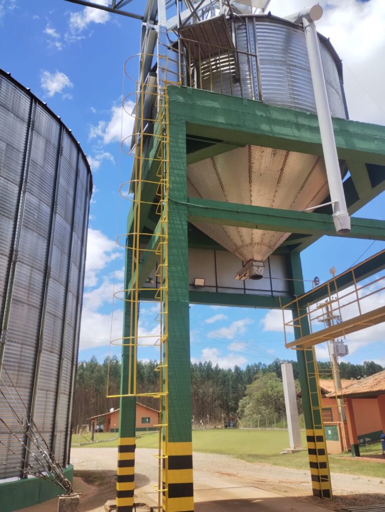 WhatsApp Image 2025-10-28 at 19.04.08 (2)